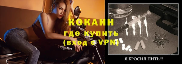 твердый Алексин