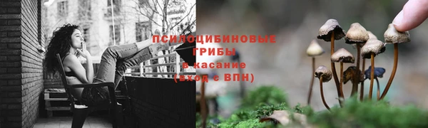 сатива Мегион