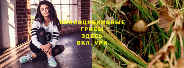твердый Алексин