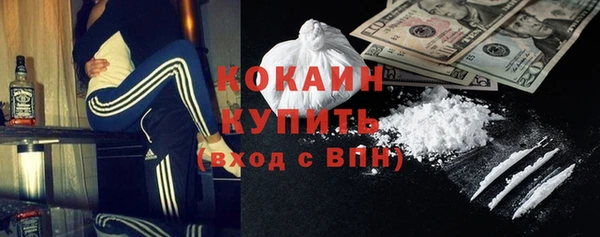 сатива Мегион